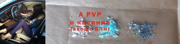 стафф Богданович