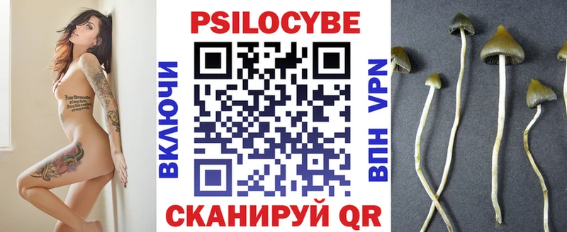 Галлюциногенные грибы Cubensis  Мурманск 