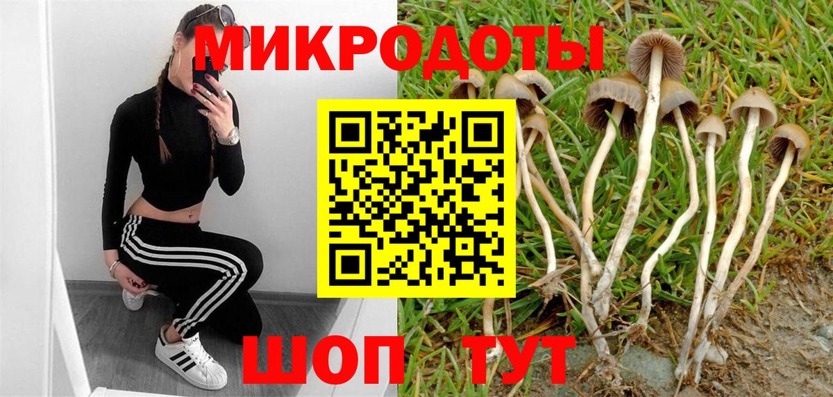 Галлюциногенные грибы мицелий Мурманск