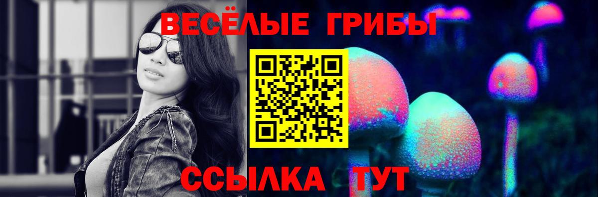 Галлюциногенные грибы GOLDEN TEACHER  Псилоцибиновые грибы Magic Shrooms  Мурманск  где купить наркотик  Вход с VPN 