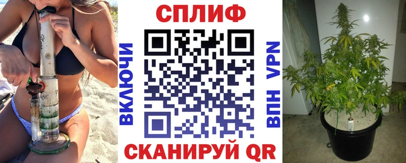 Каннабис Bruce Banner Мурманск